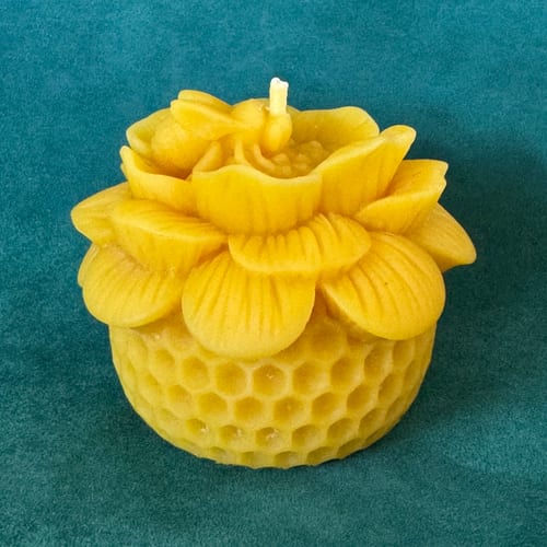 Honeycomb Flower with Bee