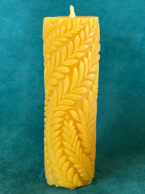 Leaf Pillar